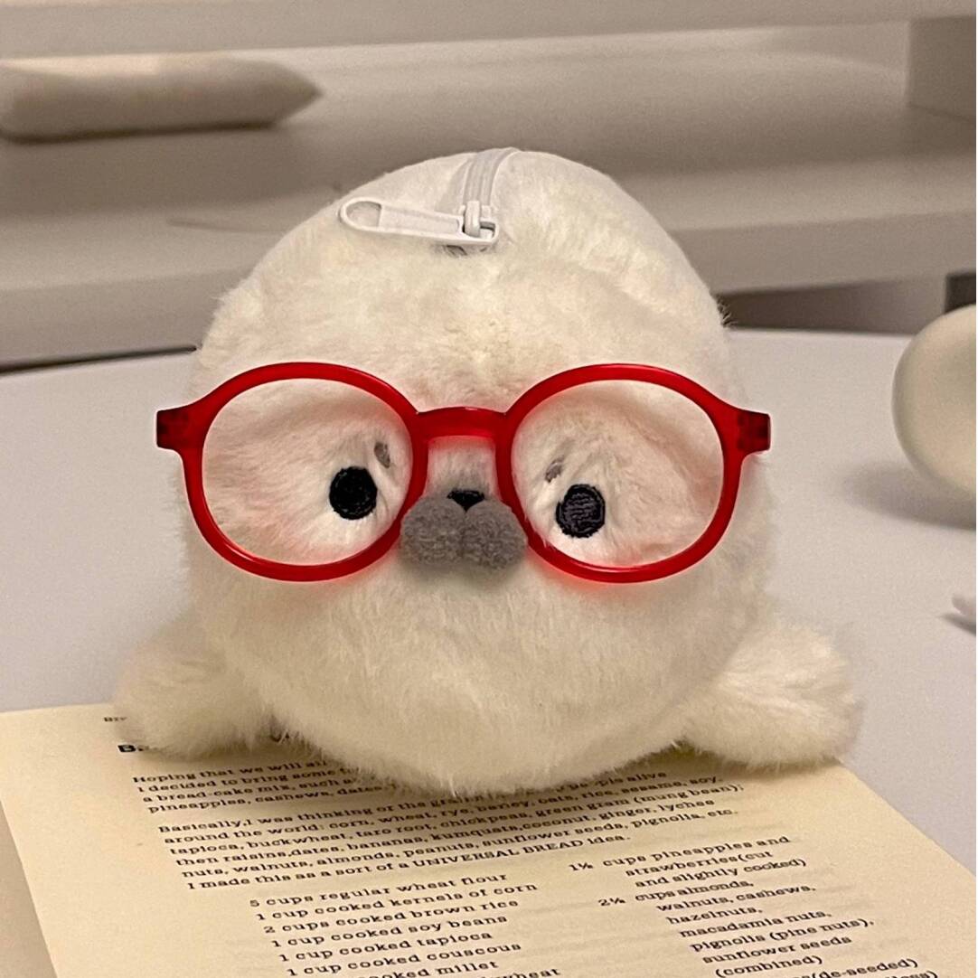 Seal Plush Pencil Case with Cute Mini Glasses